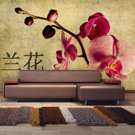 Fototapeet - Japanese orchid - 450x270