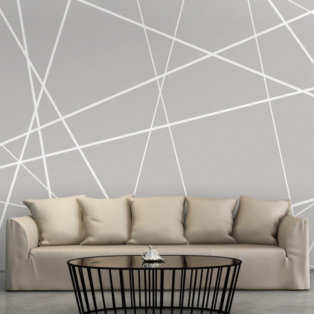 Fototapeet - Modern Cobweb - 250x175