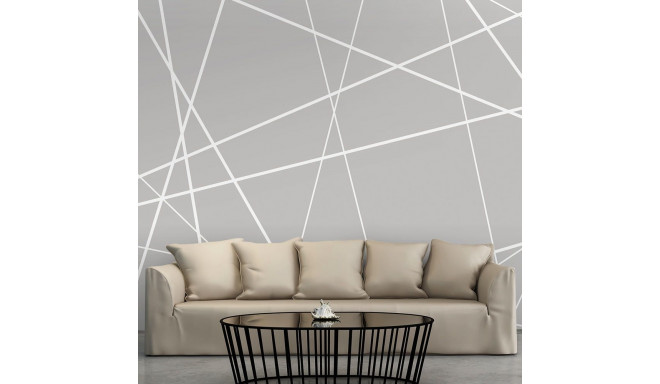 Fototapeet - Modern Cobweb - 250x175