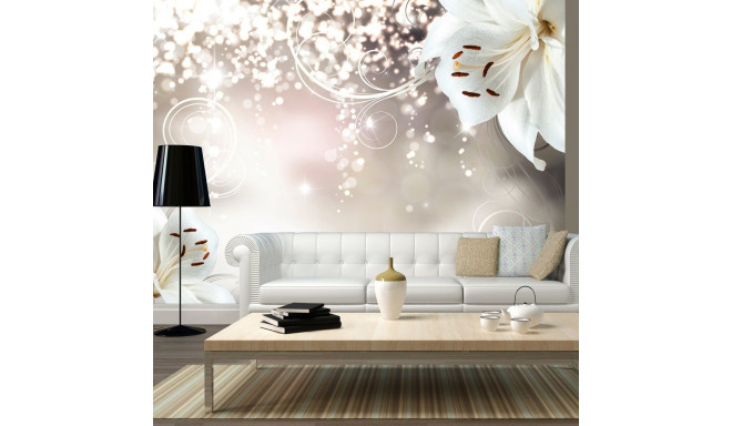 Fototapeet - Magic composition - 300x210