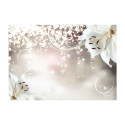 Fototapeet - Magic composition - 300x210
