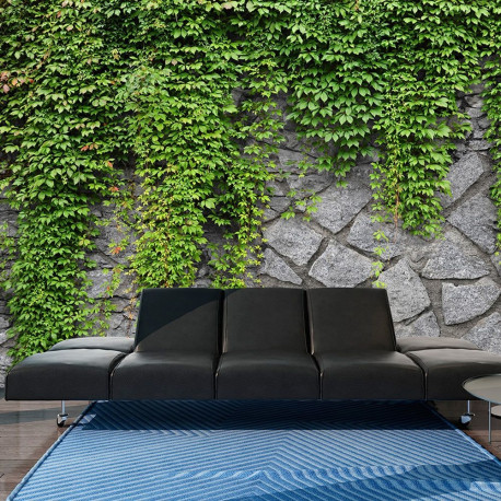 Fototapeet - Green wall - 300x210