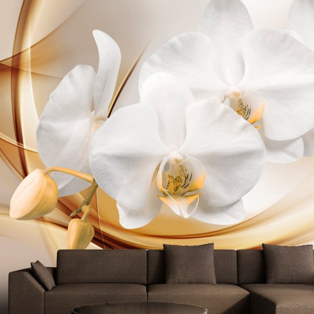 Fototapeet - Orchid blossom - 100x70