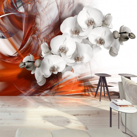 Fototapeet - Orchid on fire II - 300x210