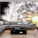 Fototapeet - Fluffy dandelion - 200x140 Fototapeet - Fluffy dandelion - 200x140