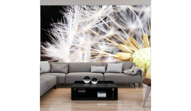 Fototapeet - Fluffy dandelion - 200x140