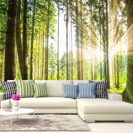 Fototapeet - Forest Tales - 250x175