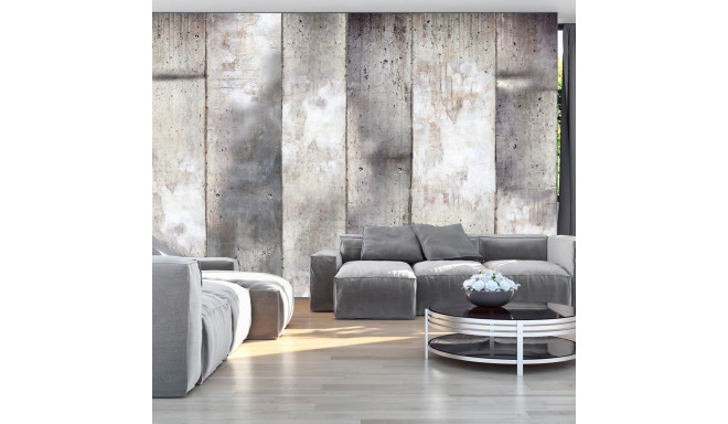 Fototapeet - Gray stripes - 200x140