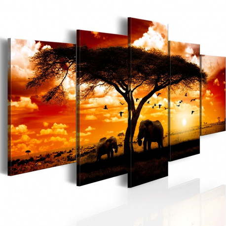Seinapilt - Flock of birds over the savannah - 100x50