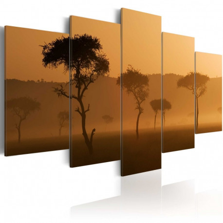 Seinapilt - Fog over a savannah - 100x50