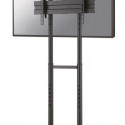 NEOMOUNTS BY NEWSTAR MOBILE FLOOR STAND (HEIGHT ADJUSTABLE: 128,5-145 CM)