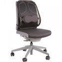 Back support ergonomic FELLOWES Professional Series™ black