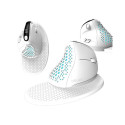 Wireless Ergonomic Mouse Delux M618XSD BT+2.4G RGB (white)