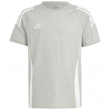 Adidas laste särk Tiro 24 Sweat IR9356 152cm, hall