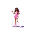 Barbie Mattel Career doll - pop star HRG41 (H