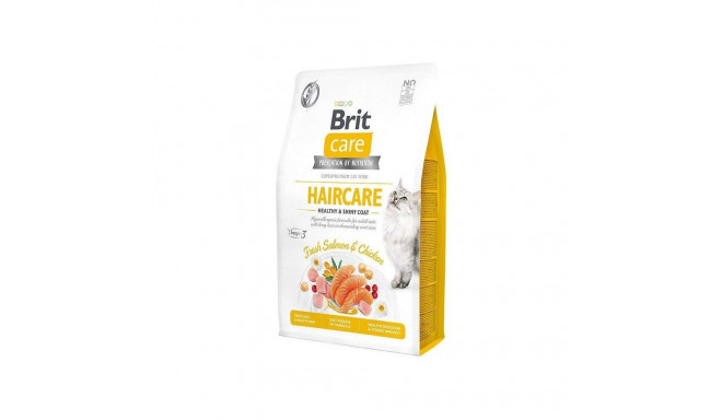 BRITCARE CAT HAIRCARE HEALTHY&SHINY 2KG