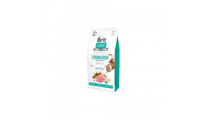 BRITCARE KASS STERILISEERITUD KUSETEE TERVIS 2KG