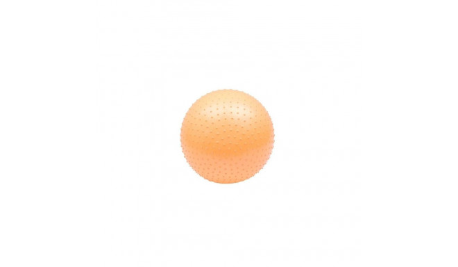 MASSAGE GYM BALL PVC LS3224 55CM