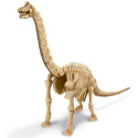 4M KidzLabs craft kit "Brachiosaurus skeleton