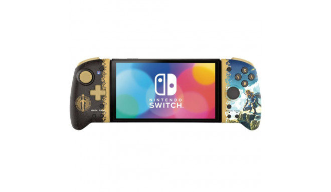 Puldid Hori Zelda Tears Of the Kingdom