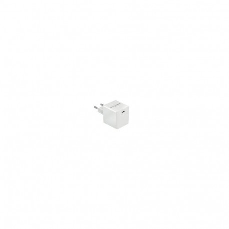 DeLOCK USB-laadija 1 x USB Type-C PD 3.0 kompaktne 40W, valge