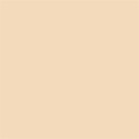 Superior Background Paper 64 Fawn 1.35 x 11m