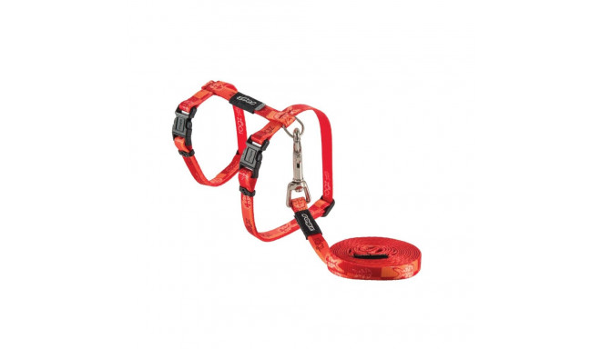 Kassi traksid+jalutusrihm Rogz KiddyCat Tango Fishbone