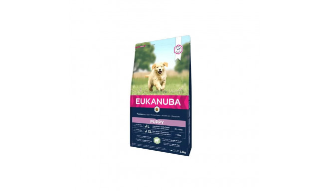Puppy lamb and rice for large dogs 12 kg, Eukanuba