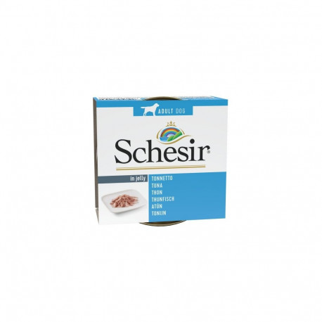 Tuna in jelly 150g wet food for dogs, Schesir
