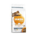 Kuiv täissööt IAMS CAT Adult Indoor kanaga 3 kg kassidele