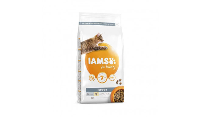 Kuiv täissööt IAMS CAT Adult Indoor kanaga 3 kg kassidele