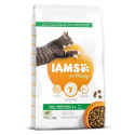 Kuiv täissööt IAMS CAT Adult с бараниной 10кг для кошек