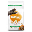 Kuiv täissööt IAMS CAT Adult lõhega 1,5 kg kassidele