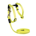 Cat harness with leash alleycat dayglo 24-40cm/1.8m, Rogz