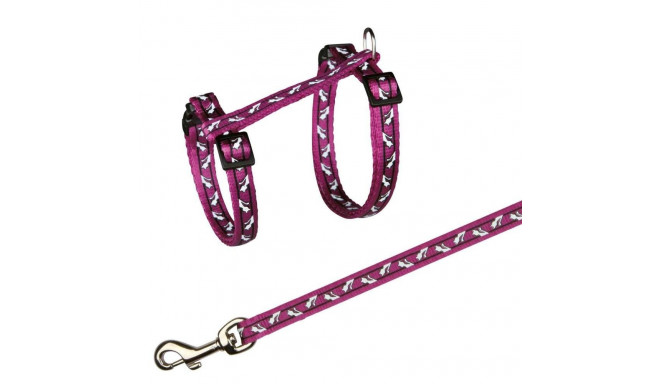 Kassirakmed koos jalutusrihmaga, kõigile kassidele, nailon, 27–45 cm/10 mm, 1,20 m, Trixie