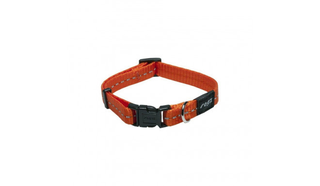 Ошейник Rogz Nitelife 11mm/20-31cm оранжевый