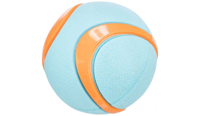 Koera mänguasi Pall, TPR, ø 6 cm