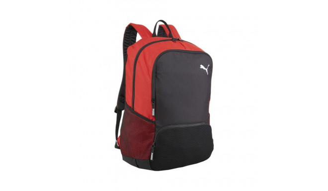 Puma Team Goal Premium backpack 90458 03