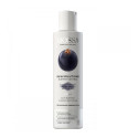 MOSSA SKIN SOLUTIONS TONICO CLARIFICANTE ANTI-MANCHAS BLACK CURRANT 200ML