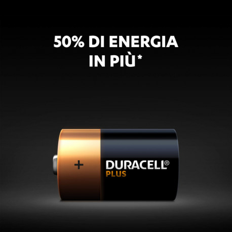 Elementai DURACELL R20A/DUR-BL2(D), 2vnt., alkaline, 1,5V.