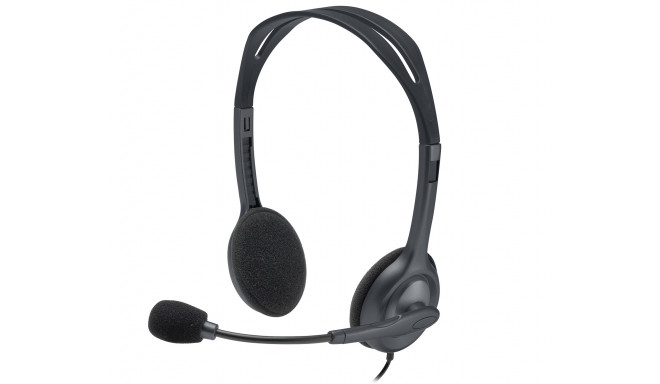 Ausinės LOGITECH H111, su mikrofonu, sidabro sp.