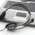 Ausinės LOGITECH H111, su mikrofonu, sidabro sp.