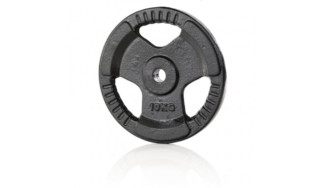 Raskusketas Iron Weight Plate Gymstick 10 kg