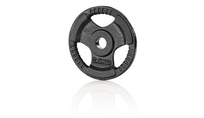 Raskusketas Iron Weight Plate Gymstick 2.5 kg