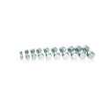 Hantel Gymstick Pro Chrome Dumbbell 9 kg