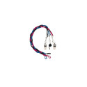 Vile Whistle + lanyard