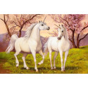 Puzzles 1000 elements Unicorn Love