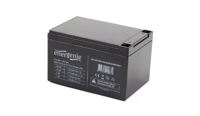 Battery for Uninterruptible Power Supply System UPS GEMBIRD BAT-12V12AH 12 Ah 12 V