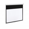 ART Display Electric EM-100 16:9 100'' 221x125cm matte white with remote control