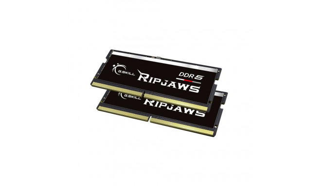 G.Skill RAM F5-4800S4039A16GX2-RS DDR5 32GB CL40